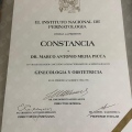 Ampliar imagen: certificate 5