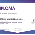 Ampliar imagen: certificate 14