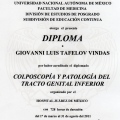 Ampliar imagen: certificate 4