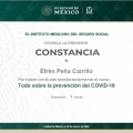 Ampliar imagen: certificate 9