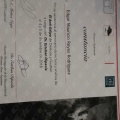 Ampliar imagen: certificate 5