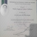 Ampliar imagen: certificate 12