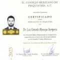 Ampliar imagen: certificate 3