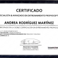 Ampliar imagen: certificate 5