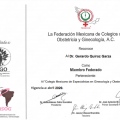 Ampliar imagen: certificate 3
