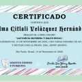 Ampliar imagen: certificate 10