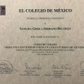 Ampliar imagen: certificate 15