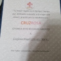 Ampliar imagen: certificate 5