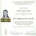 Ampliar imagen: certificate 6