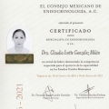 Ampliar imagen: certificate 3