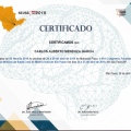 Ampliar imagen: certificate 2