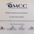 Ampliar imagen: certificate 7