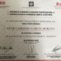 Ampliar imagen: certificate 32