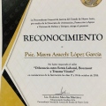 Ampliar imagen: certificate 31