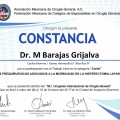 Ampliar imagen: certificate 3