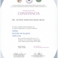 Ampliar imagen: certificate 17