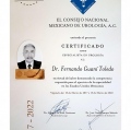 Ampliar imagen: certificate 1