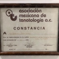 Ampliar imagen: certificate 12