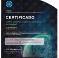 Ampliar imagen: certificate 16