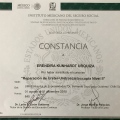 Ampliar imagen: certificate 9