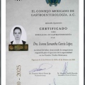 Ampliar imagen: certificate 4