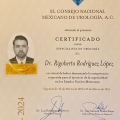 Ampliar imagen: certificate 3