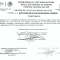 Ampliar imagen: certificate 21