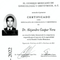 Ampliar imagen: certificate 4
