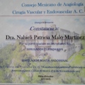 Ampliar imagen: certificate 3