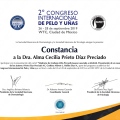 Ampliar imagen: certificate 11