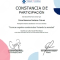Ampliar imagen: certificate 23