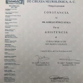 Ampliar imagen: certificate 7