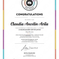 Ampliar imagen: certificate 3