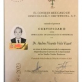 Ampliar imagen: certificate 4