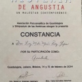 Ampliar imagen: certificate 61