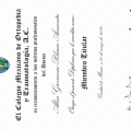 Ampliar imagen: certificate 20