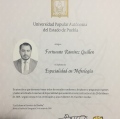 Ampliar imagen: certificate 5