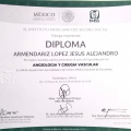 Ampliar imagen: certificate 9