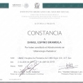 Ampliar imagen: certificate 3