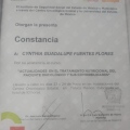 Ampliar imagen: certificate 2