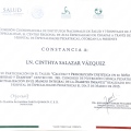 Ampliar imagen: certificate 3