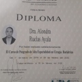 Ampliar imagen: certificate 3