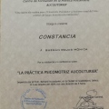 Ampliar imagen: certificate 77