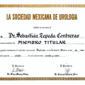 Ampliar imagen: certificate 5