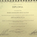 Ampliar imagen: certificate 10