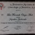 Ampliar imagen: certificate 7