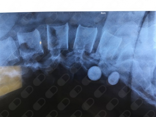 Oscar Suárez Requena-1