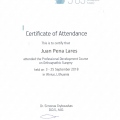 Ampliar imagen: certificate 1