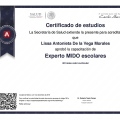 Ampliar imagen: certificate 4