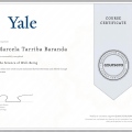 Ampliar imagen: certificate 4